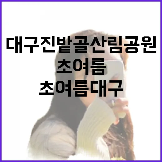 초여름 대구 진밭골 산림공원 힐링 명소