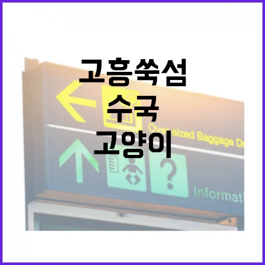 고흥 쑥섬, 고양이와 수국의 힐링 섬