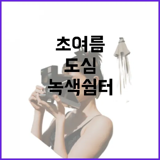 경기도 초여름 도심 녹색쉼터 산책길