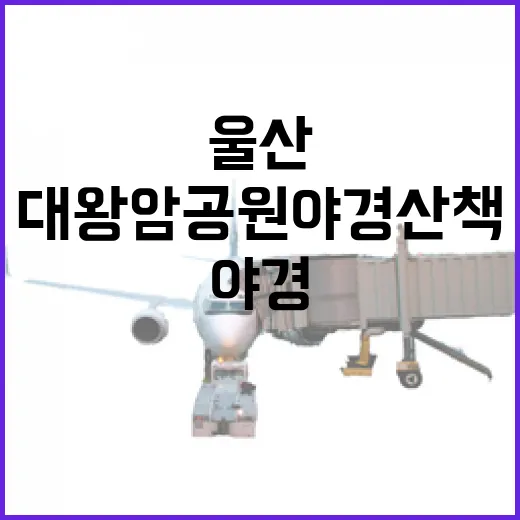 울산 대왕암공원 야경 산책 명소