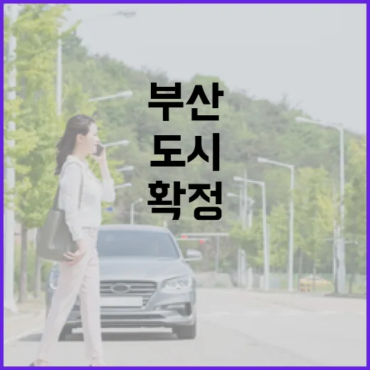 부산 미래 10년 이끌 도시철도망 확정