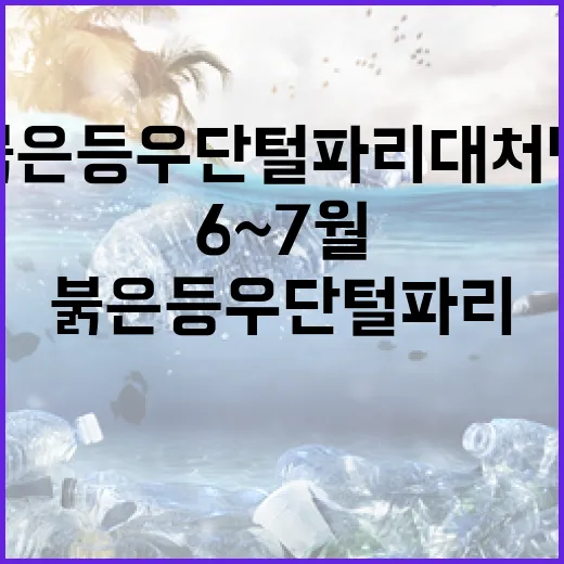 6~7월 붉은등우단털파리 대처법