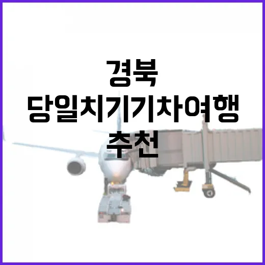 경북 당일치기 기차 여행 명소 추천