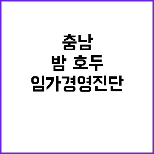 충남 밤·호두 임가 경영진단 본격 추진