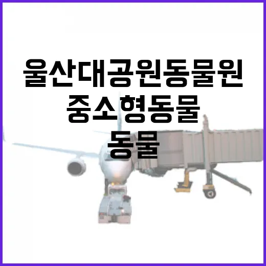 울산대공원 동물원, 중소형 동물과의 만남
