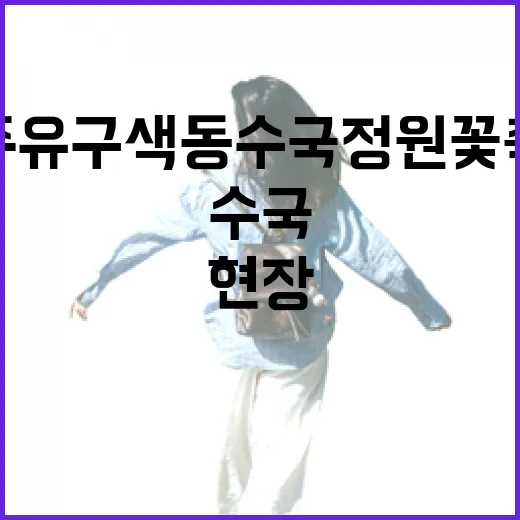 공주 유구색동수국정원 꽃축제 현장 리포트