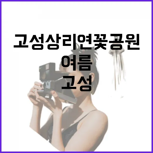 고성 상리연꽃공원, 여름의 평화와 자연
