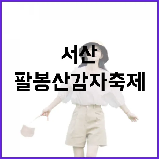 서산 팔봉산 감자축제 현장 생생 체험기