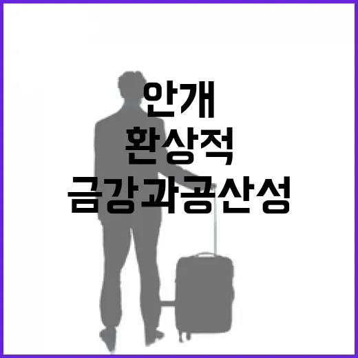 안개 속 금강과 공산성의 환상적 아침