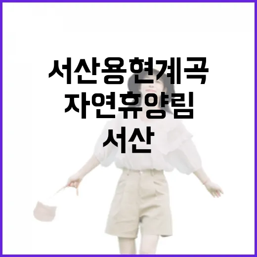 서산 용현계곡과 자연휴양림 여름 피서 명소