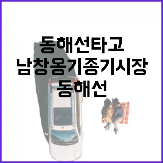 동해선 타고 남창옹기종기시장 나들이