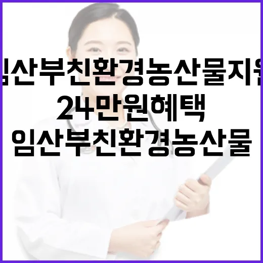 충남 임산부 친환경 농산물 지원 24만원 혜택