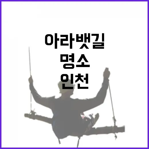 인천 아라뱃길 여름 명소 완벽 가이드