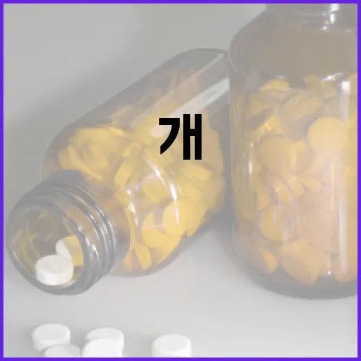 개 브루셀라증, 반려견과 가족 건강 지키는 법