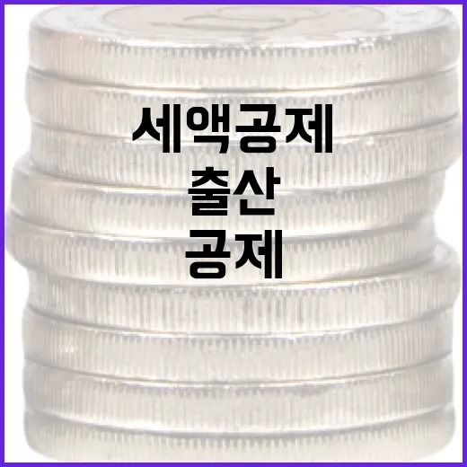 출산·입양 세액공제 제도, 재정사업 전환 구체안 미정