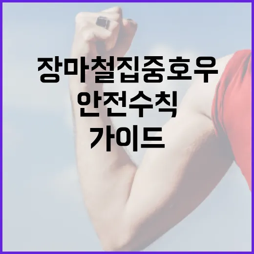 여름 장마철 집중호우 안전수칙 완벽 가이드