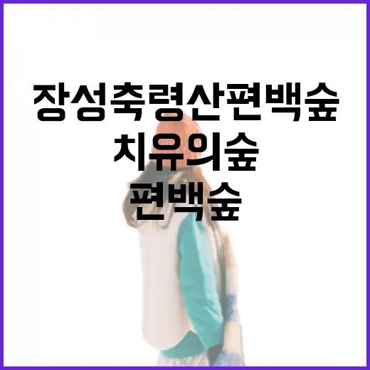 초록 치유의 숲, 장성 축령산 편백숲 산책