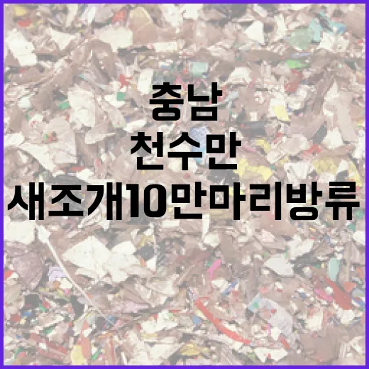 충남 천수만 새조개 10만 마리 방류로 자원 회복 시동