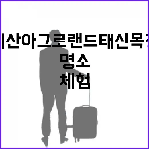 예산 아그로랜드 태신목장, 자연과 체험의 힐링 명소