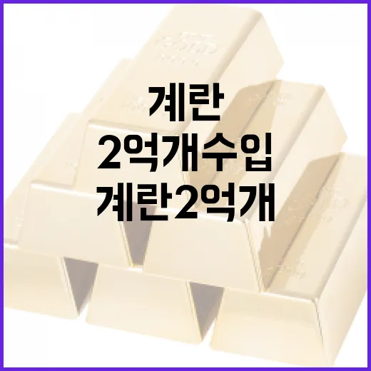 정부, 계란 2억개 수입으로 서민 부담 완화 나선다