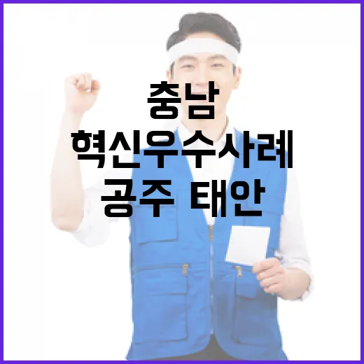충남 혁신 우수사례, 공주·태안 최우수 영예