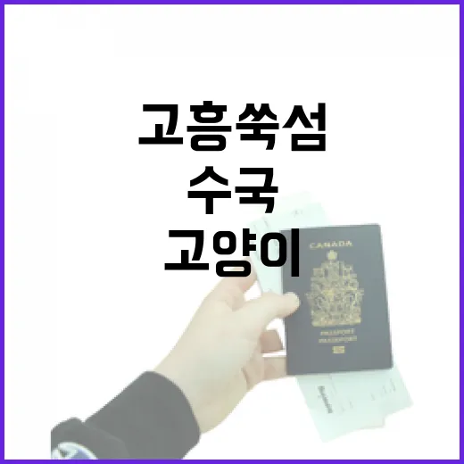 고흥 쑥섬, 고양이와 수국의 힐링 섬