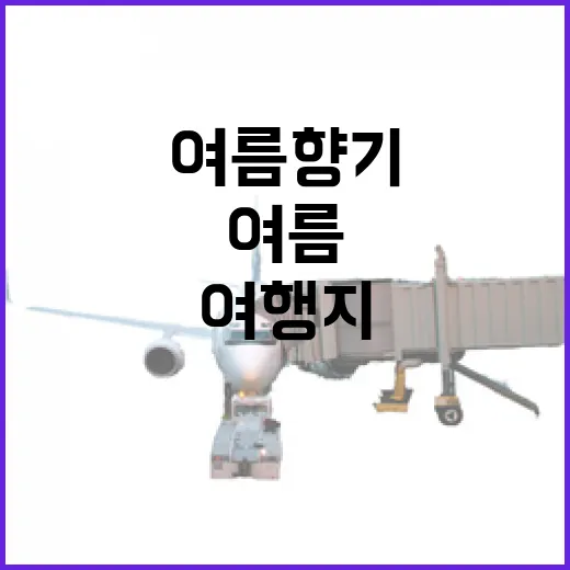전남의 여름 향기 가득한 여행지