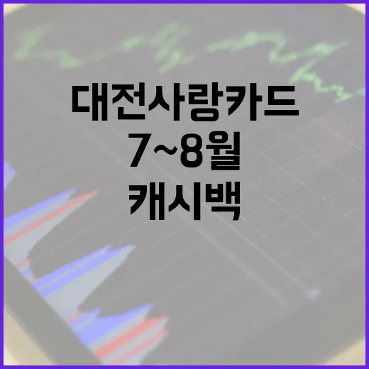 대전사랑카드 캐시백 7~8월 일시 중단