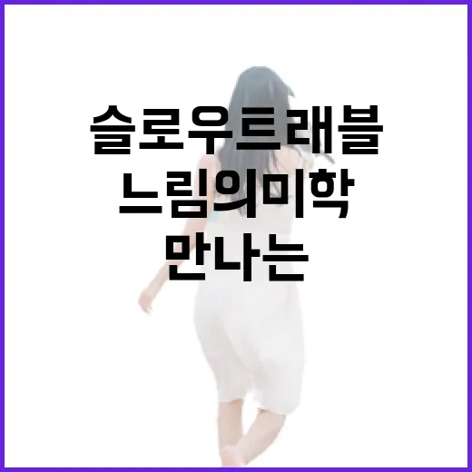 고흥에서 만나는 느림의 미학, 슬로우 트래블