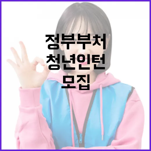 정부부처 청년인턴 대규모 모집 소식