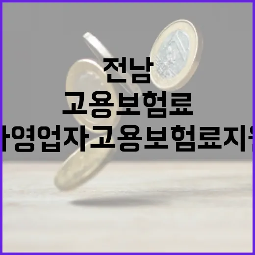 전남 자영업자 고용보험료 지원 확대