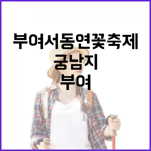 부여서동연꽃축제, 궁남지서 펼쳐지는 여름밤의 환상