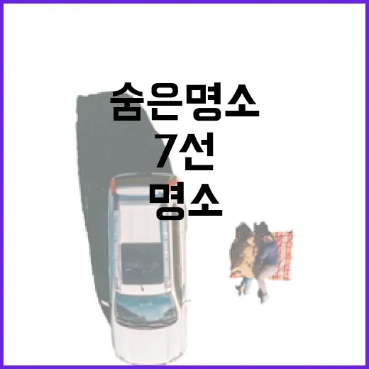 푸릇푸릇 보성, 여름 여행의 정석