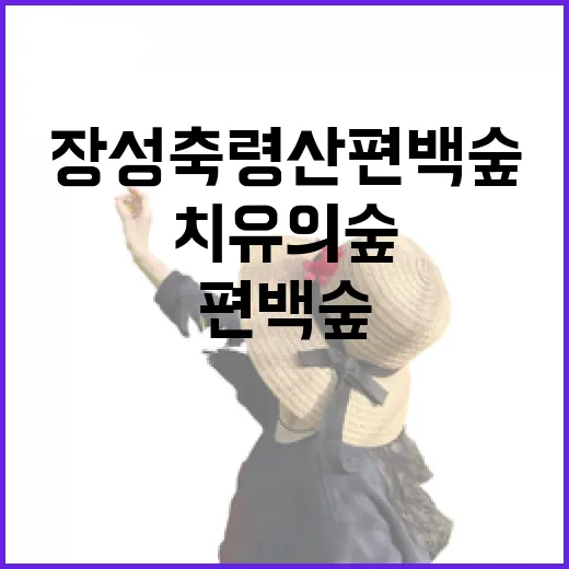 초록 치유의 숲, 장성 축령산 편백숲 산책기