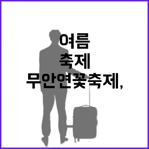 무안연꽃축제, 백련의 청초한 여름 향연
