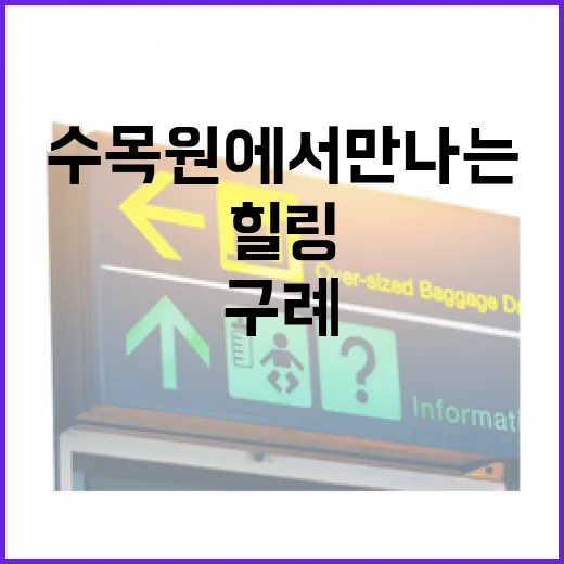 구례수목원에서 만나는 초록빛 힐링