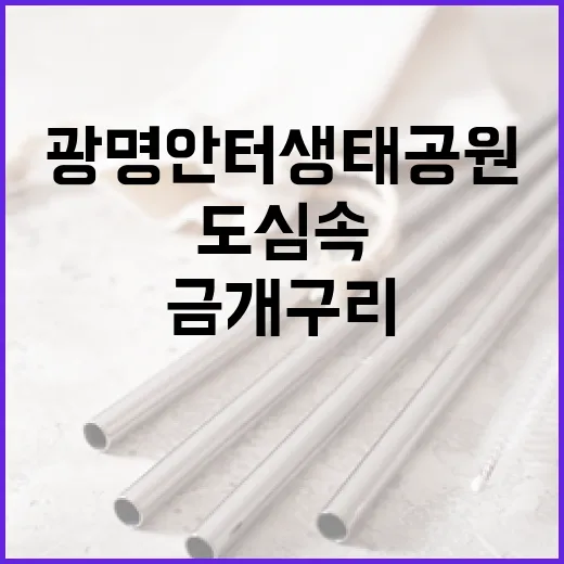 도심 속 생태기적, 광명 안터생태공원 금개구리 탐방