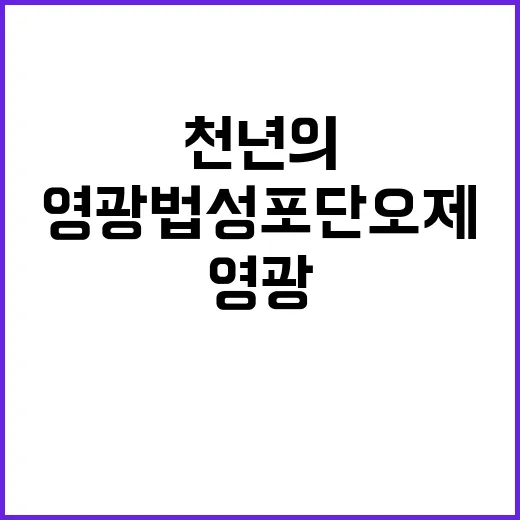 천년의 흥, 영광 법성포단오제 현장