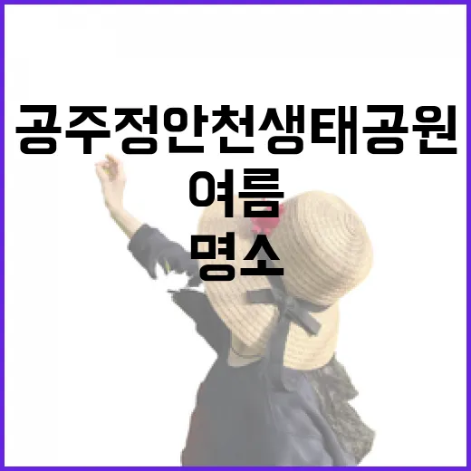 공주 정안천 생태공원, 여름 힐링 명소