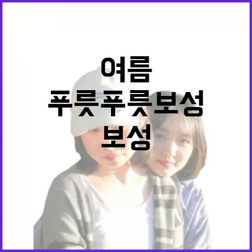 푸릇푸릇 보성에서 만나는 청량한 여름