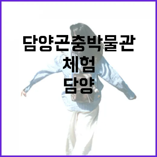 담양 곤충박물관에서 만나는 생태 체험의 즐거움