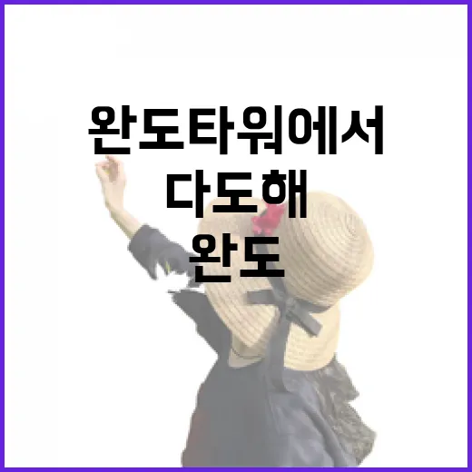 완도타워에서 만나는 다도해 절경