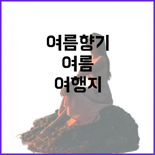 전남의 여름 향기 가득한 여행지