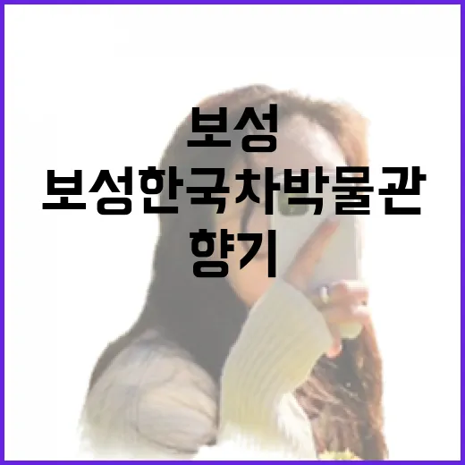 보성 한국차박물관에서 만나는 차 문화의 향기