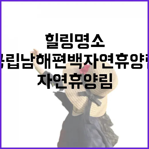 국립남해편백자연휴양림 힐링 명소 집중 탐방