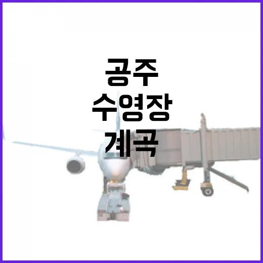 공주에서 즐기는 수영장과 계곡의 완벽한 조화
