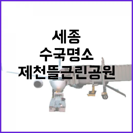 세종 제천뜰 근린공원 수국 명소 산책길
