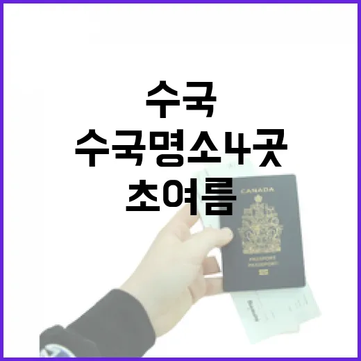 충남 수국 명소 4곳, 초여름 힐링 산책