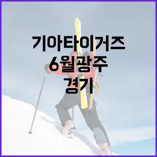 6월 광주 기아타이거즈 경기 총정리