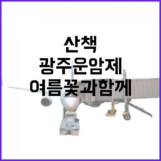 광주 운암제, 여름꽃과 함께하는 힐링 산책